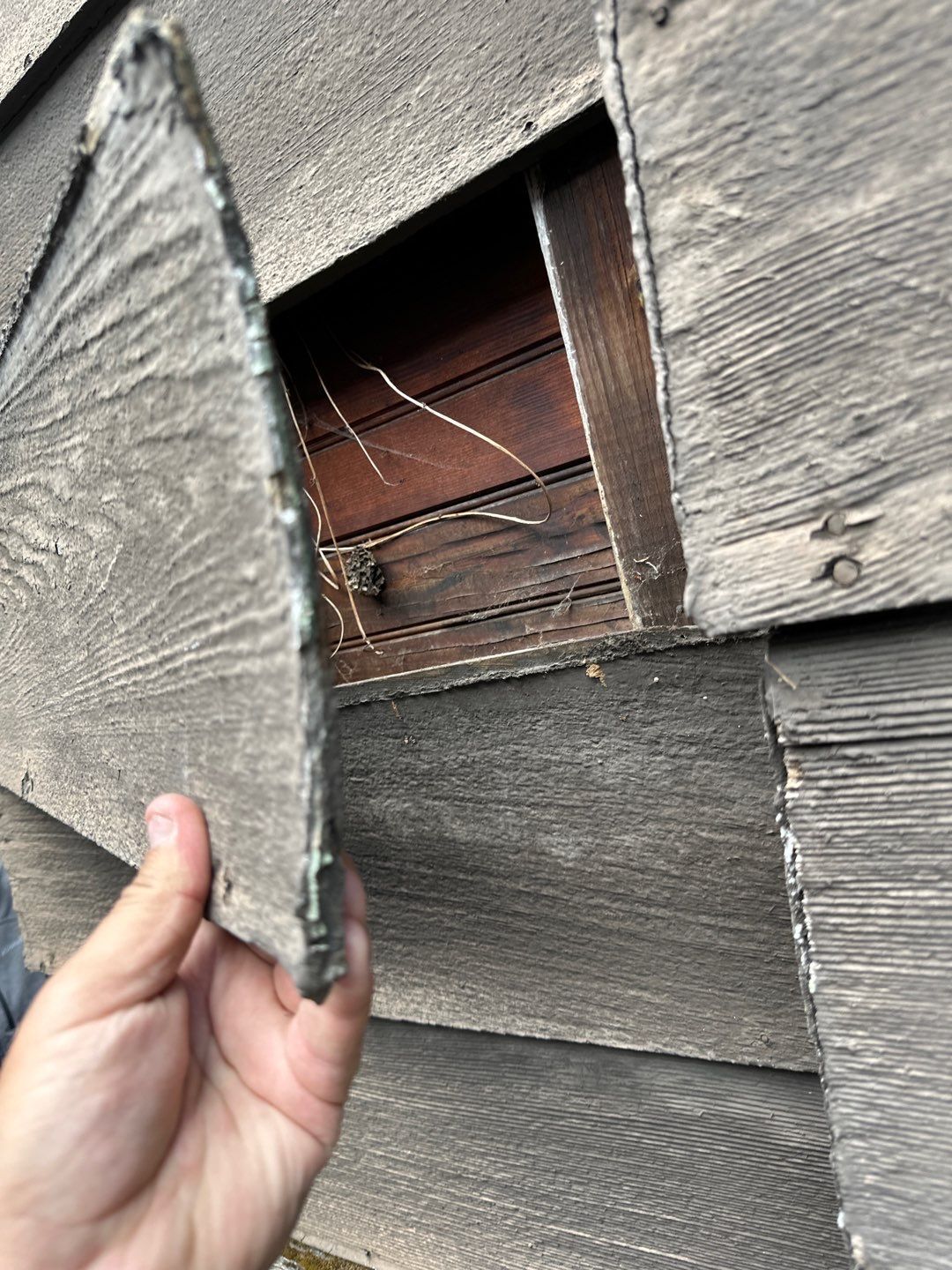 Damaged siding before repair in New Hampshire