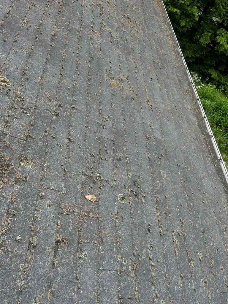 Preventive roof maintenance for New Hampshire winter